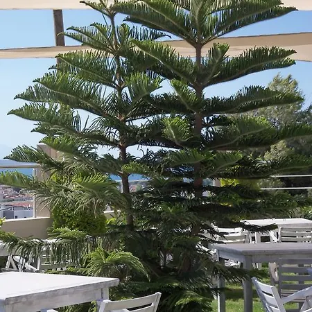 Hotel Cinar Boutique 2*